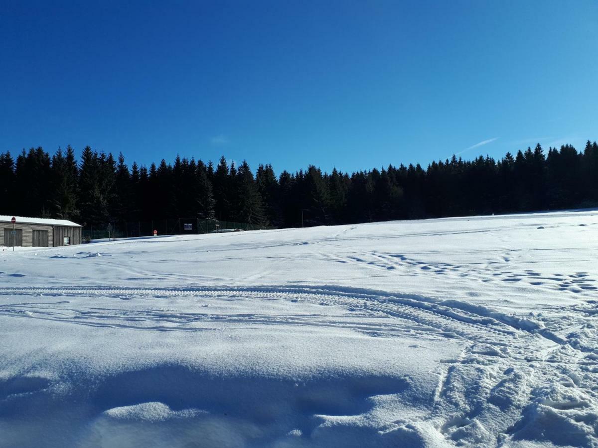 Ferienwohnung Kupfer Schmiedefeld am Rennsteig Esterno foto